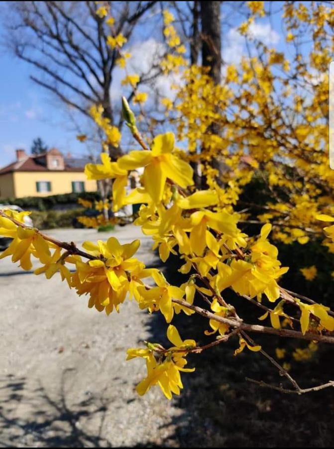 Bed&Breakfast Villa Camilla Ivrea Exterior photo